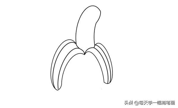 每天学一幅简笔画-香蕉简笔画画法步骤图片-4.jpg