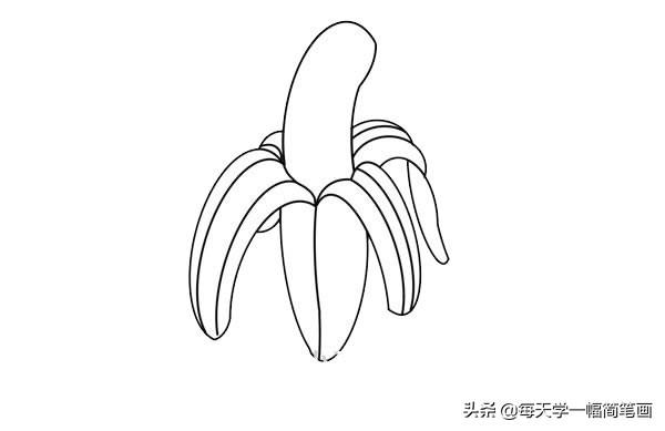 每天学一幅简笔画-香蕉简笔画画法步骤图片-5.jpg
