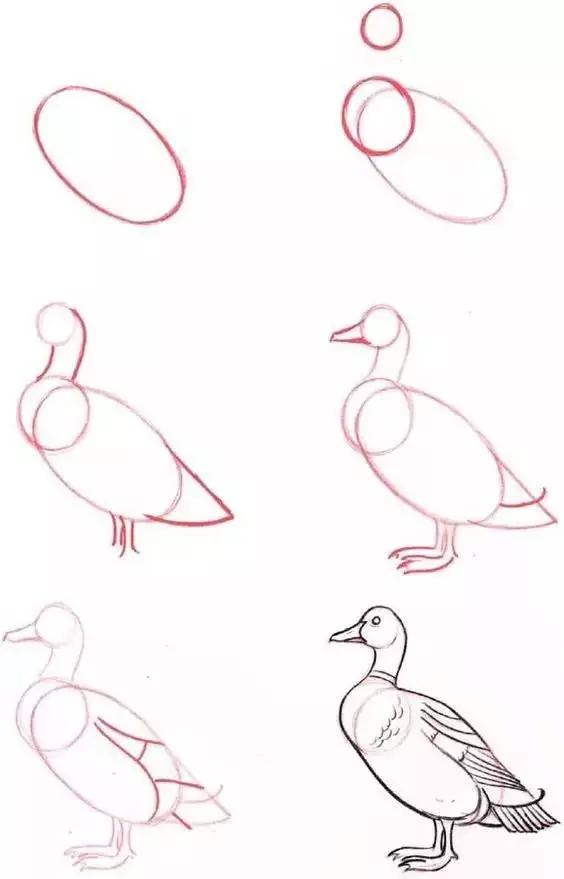 原来简笔画，真的很简单呢-30.jpg
