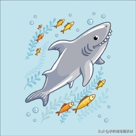 马克笔素材简笔画 海洋小动物合集 外加乱入的潜水员 美人鱼-4.jpg