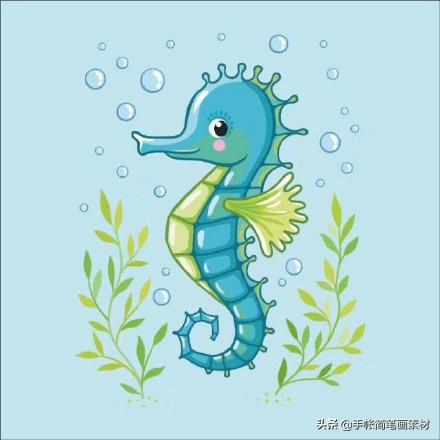 马克笔素材简笔画 海洋小动物合集 外加乱入的潜水员 美人鱼-6.jpg