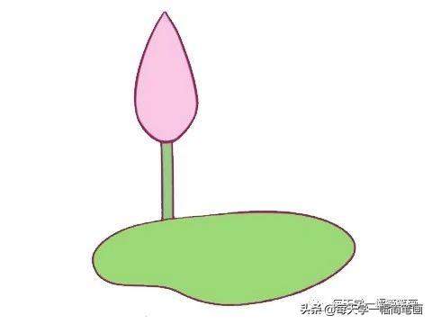 每天学一幅简笔画--荷花简笔画的画法步骤-6.jpg