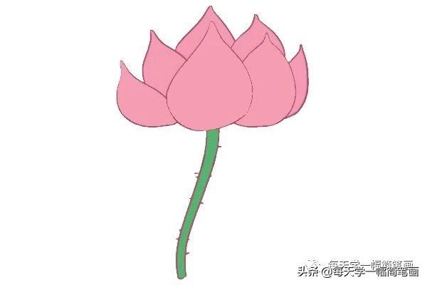 每天学一幅简笔画--荷花简笔画的画法步骤-5.jpg