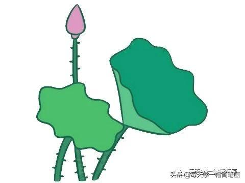 每天学一幅简笔画--荷花简笔画的画法步骤-10.jpg