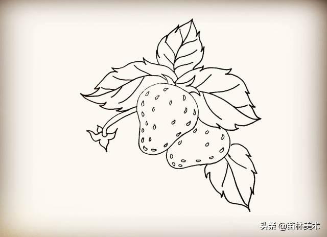 【简笔画教程】草莓-12.jpg
