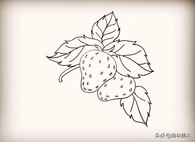 【简笔画教程】草莓-11.jpg