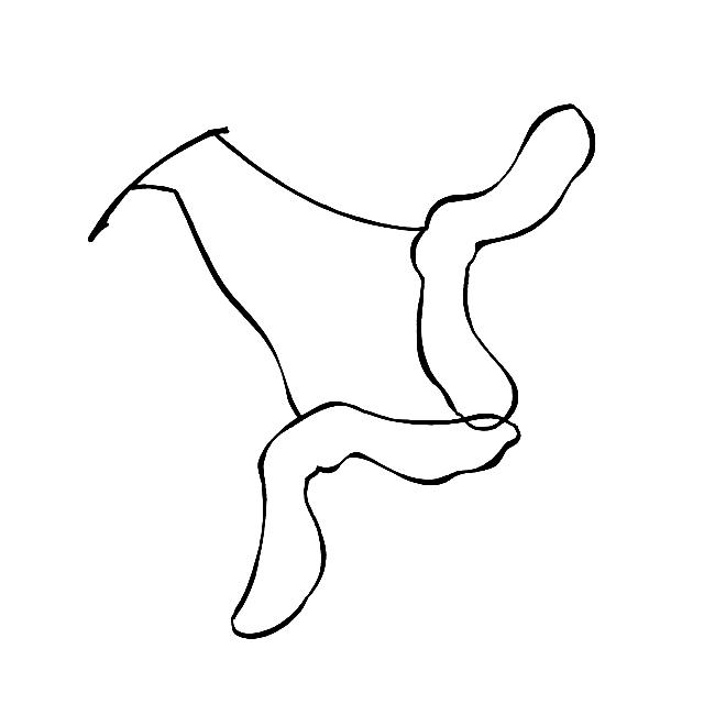 不会画画？小白也能学会的简笔画叶子，练完这一波入门-25.jpg