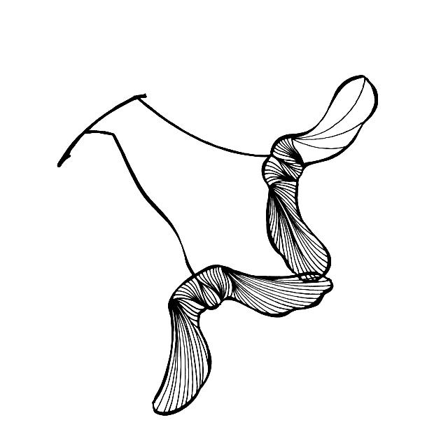 不会画画？小白也能学会的简笔画叶子，练完这一波入门-28.jpg