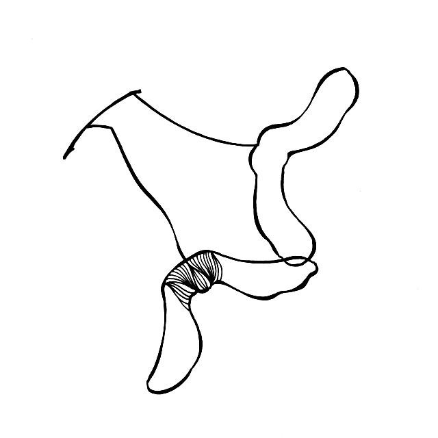 不会画画？小白也能学会的简笔画叶子，练完这一波入门-26.jpg