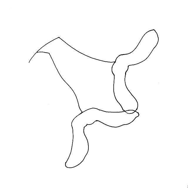 不会画画？小白也能学会的简笔画叶子，练完这一波入门-24.jpg