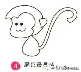 每天学一幅简笔画--猴子简笔画画法步骤-4.jpg