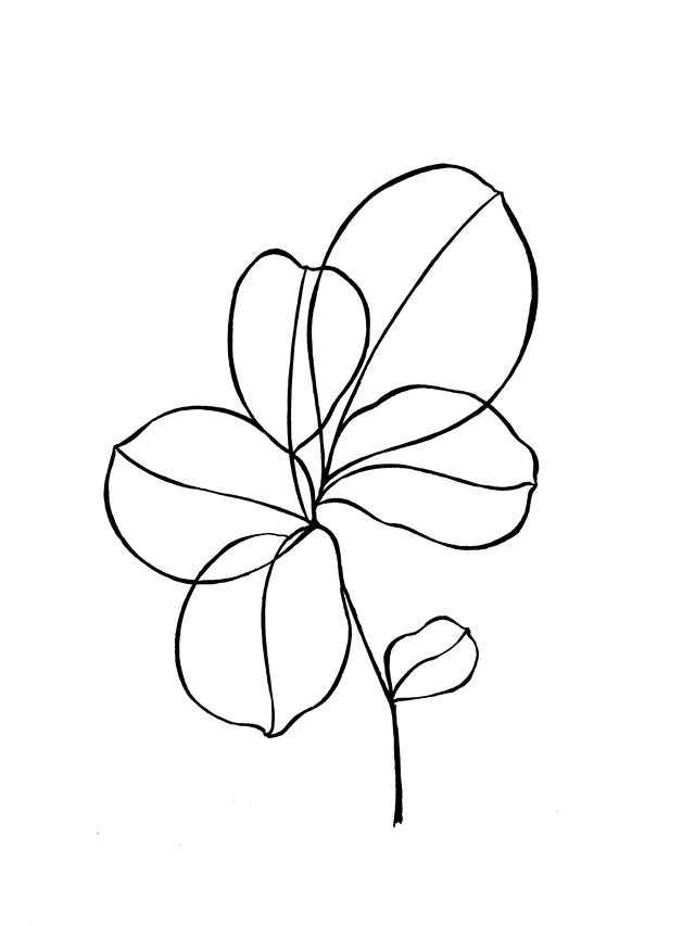 一支笔就可以画的简笔画，线描叶子画起来吧-4.jpg