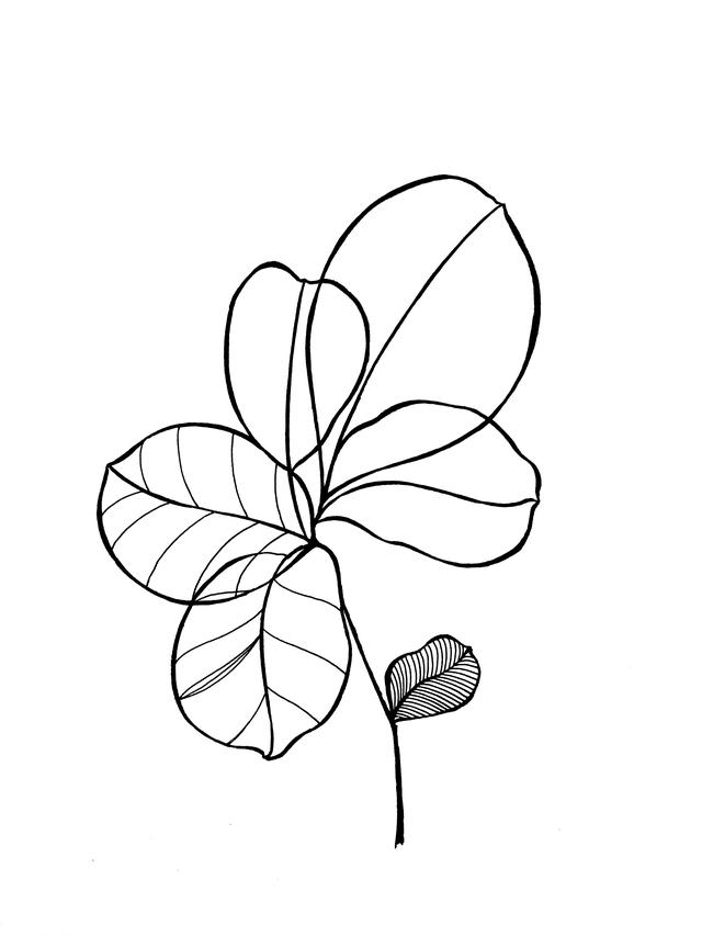 一支笔就可以画的简笔画，线描叶子画起来吧-5.jpg