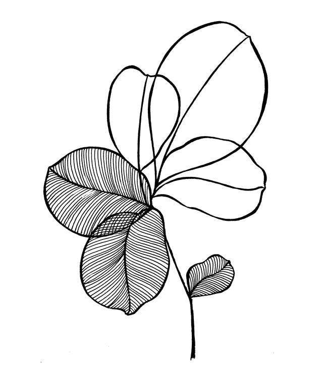 一支笔就可以画的简笔画，线描叶子画起来吧-7.jpg
