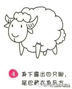 每天学一幅简笔画--小羊简笔画画法步骤-4.jpg