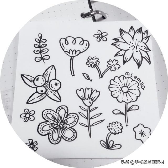【手绘】我把你画成花[鲜花]花朵手帐简笔画。-5.jpg