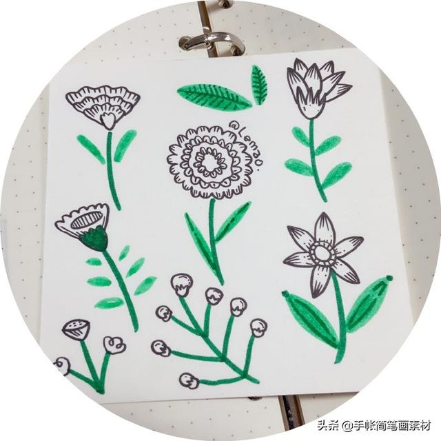 【手绘】我把你画成花[鲜花]花朵手帐简笔画。-6.jpg