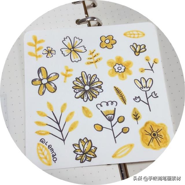 【手绘】我把你画成花[鲜花]花朵手帐简笔画。-4.jpg