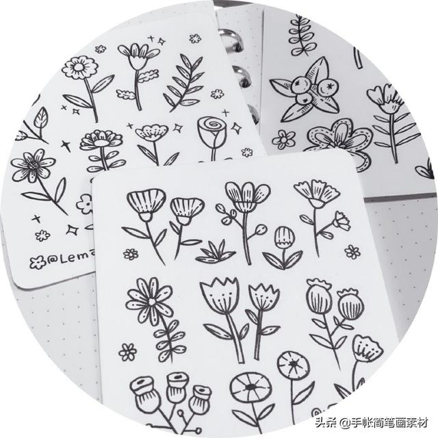 【手绘】我把你画成花[鲜花]花朵手帐简笔画。-7.jpg