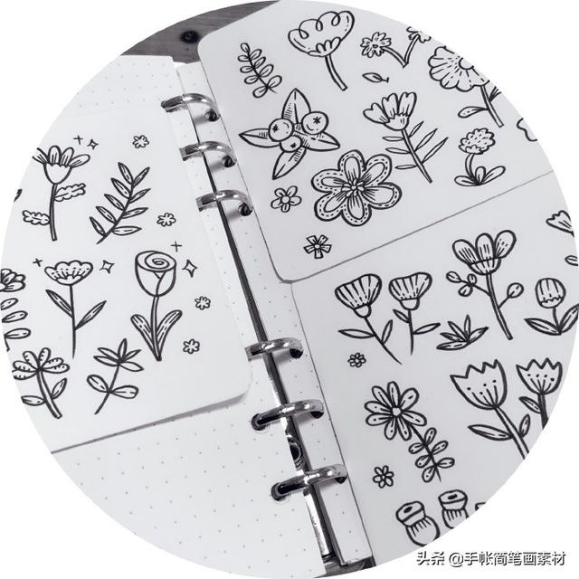 【手绘】我把你画成花[鲜花]花朵手帐简笔画。-9.jpg