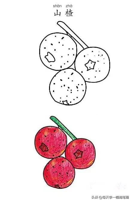每天学一幅简笔画--80 张幼儿必会的简笔画，家长先替孩子收喽~~-28.jpg