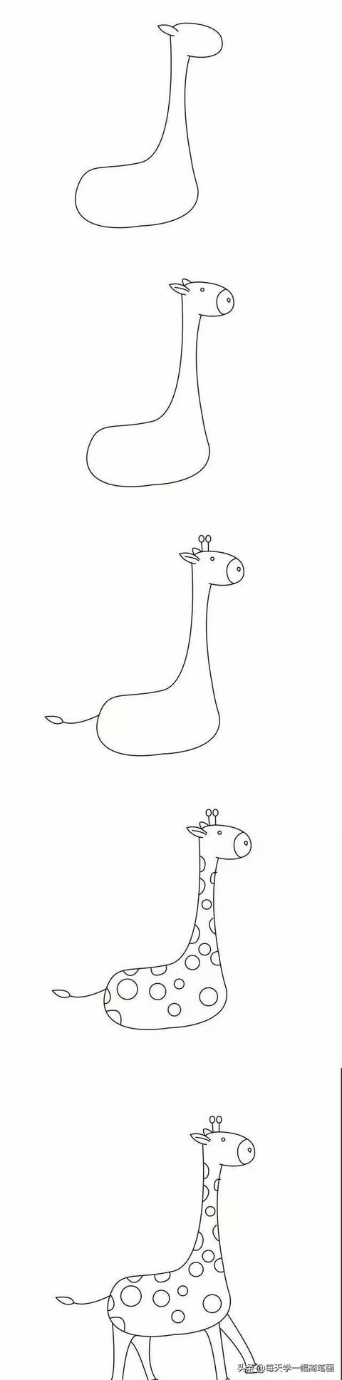 从海底生物、到动物，再到植物的简笔画大全，果断收藏！-5.jpg