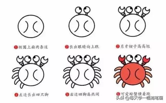 从海底生物、到动物，再到植物的简笔画大全，果断收藏！-15.jpg