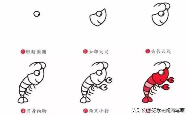 从海底生物、到动物，再到植物的简笔画大全，果断收藏！-16.jpg