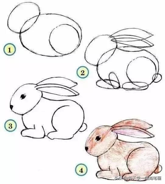 从海底生物、到动物，再到植物的简笔画大全，果断收藏！-12.jpg
