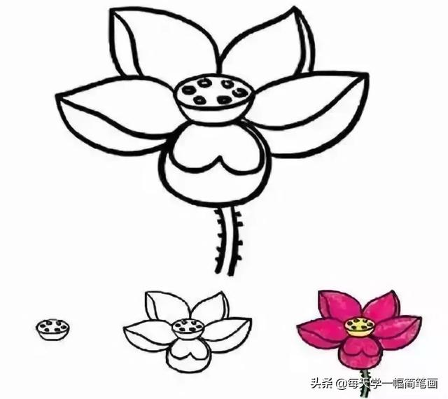 从海底生物、到动物，再到植物的简笔画大全，果断收藏！-32.jpg