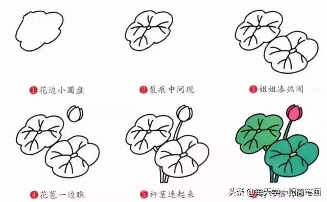 从海底生物、到动物，再到植物的简笔画大全，果断收藏！-34.jpg