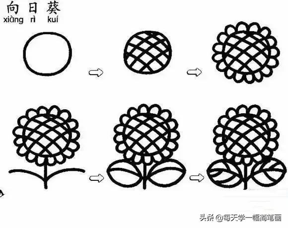 从海底生物、到动物，再到植物的简笔画大全，果断收藏！-36.jpg