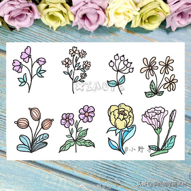 小清新花草植物简笔画 手绘手帐素材~-5.jpg