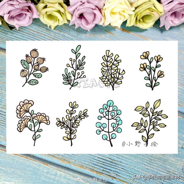 小清新花草植物简笔画 手绘手帐素材~-7.jpg
