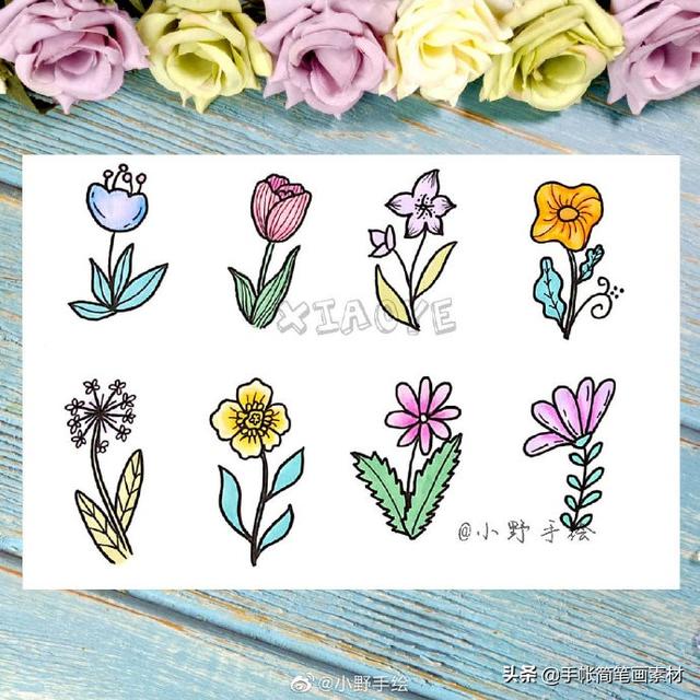 小清新花草植物简笔画 手绘手帐素材~-9.jpg