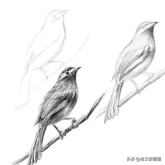 藏不住了，50例超实用的简笔画素材，收藏临摹-33.jpg