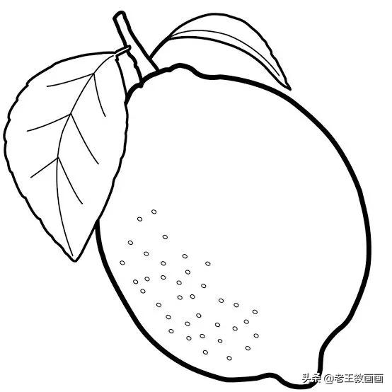藏不住了，50例超实用的简笔画素材，收藏临摹-52.jpg
