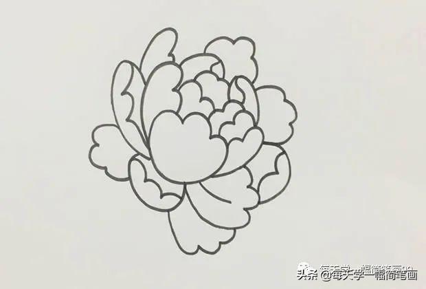 每天学一幅简笔画--牡丹花简笔画画法步骤图片教程-4.jpg