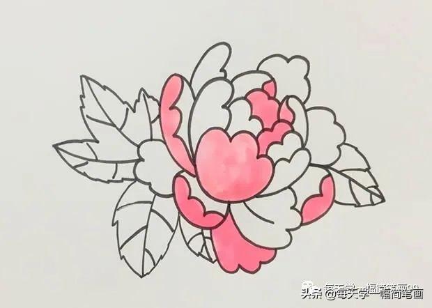每天学一幅简笔画--牡丹花简笔画画法步骤图片教程-6.jpg