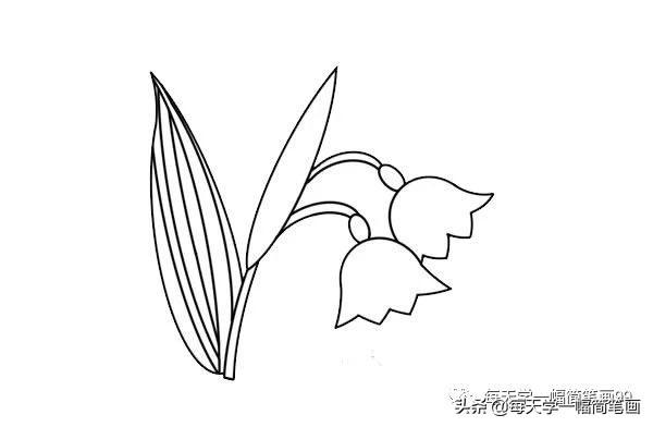 彩色的铃兰花简笔画画法步骤图片大全-5.jpg