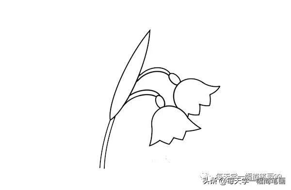 彩色的铃兰花简笔画画法步骤图片大全-4.jpg