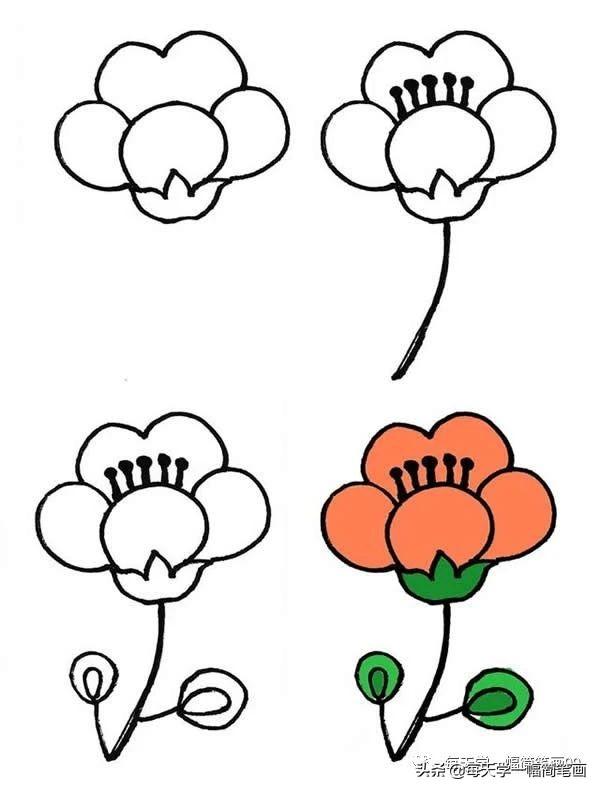 一大波漂亮的花朵简笔画画法步骤图，简单几笔就能画出来-4.jpg