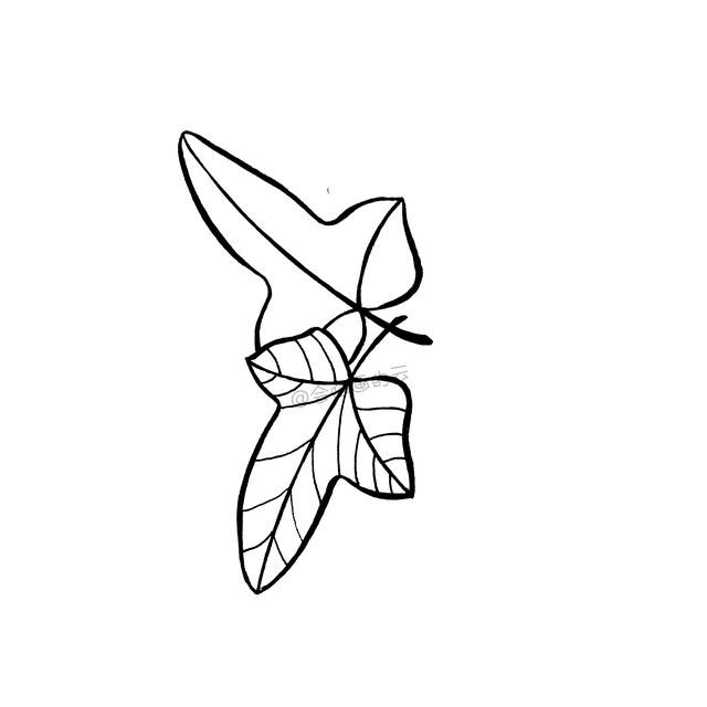 一支笔就可以画的简笔画，6款叶子带你进入线描世界~-9.jpg