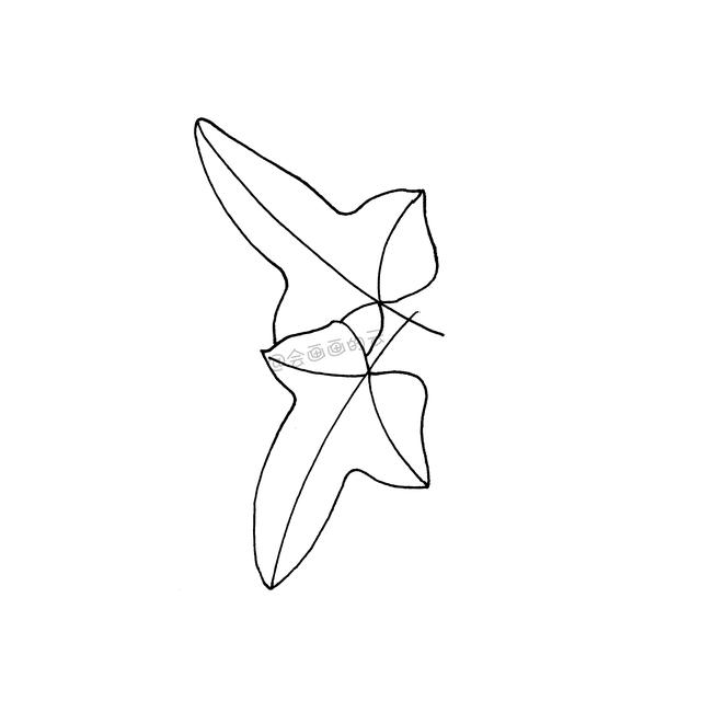 一支笔就可以画的简笔画，6款叶子带你进入线描世界~-7.jpg