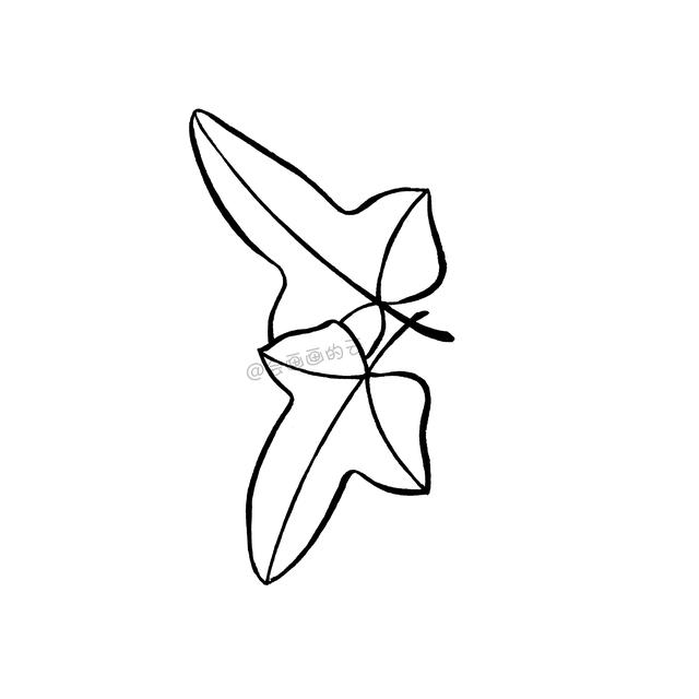 一支笔就可以画的简笔画，6款叶子带你进入线描世界~-8.jpg