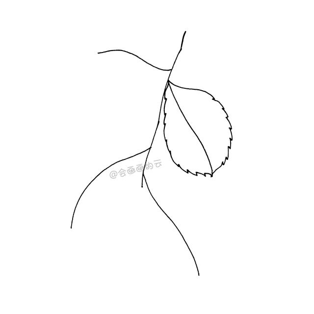 一支笔就可以画的简笔画，6款叶子带你进入线描世界~-12.jpg