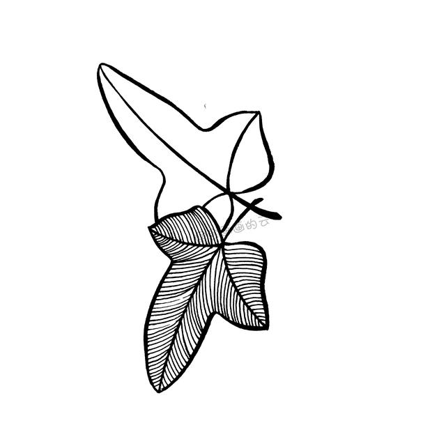 一支笔就可以画的简笔画，6款叶子带你进入线描世界~-10.jpg