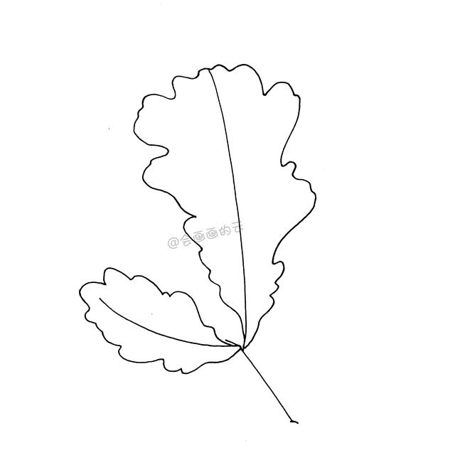 一支笔就可以画的简笔画，6款叶子带你进入线描世界~-17.jpg