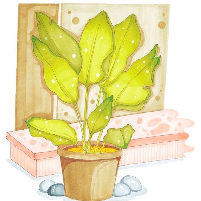 简单易学的简笔画小作品，适合创作儿童画作品！-9.jpg