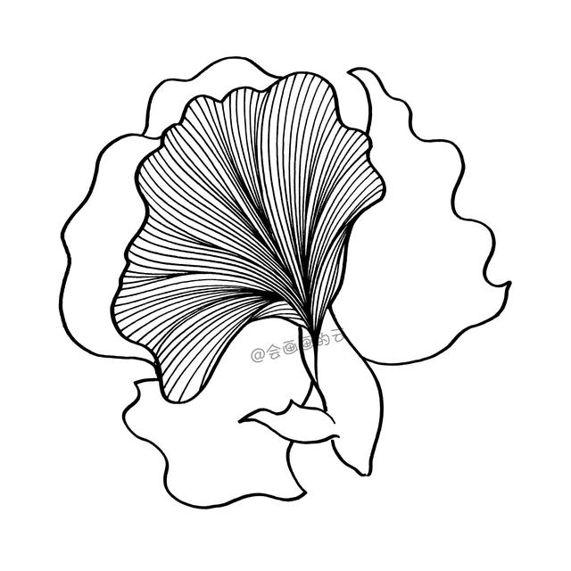 简笔画小金鱼，一步一步教你画-4.jpg